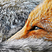 10---地理位置---Roeselien Raimond---Netherlands---Yin Yang---HUAWEI-P30-Pro.jpg
