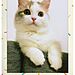 online and social-instax mini film_SPRINKLES_06_CMYK_sample prints.jpg