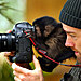 animals-with-camera-helping-photographers-10__880.jpg