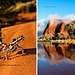 landscape-nature-photography-australia-julie-fletcher-9.jpg