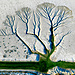 © Ekrem Sahin, Turkey, Shortlist, Professional competition, Landscape, Sony World Photography Awards 2024.jpg