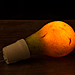 PP-Pear-light-bulb.jpg