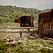 © Jonas Kakó, Germany, Shortlist, Professional competition, Environment, Sony World Photography Awards 2024.jpg