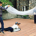 funny-crazy-wedding-photographers-behind-the-scenes-17-5774e2c274f17__700.jpg