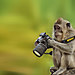 animals-with-camera-helping-photographers-18__880.jpg