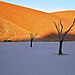 17 - Dead Vlei, Namibia by Filip Kulisev,MQEP.jpg