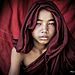 Made-in-Myanmar-18-Stunning-Images-from-Major-Award-Winning-Burmese-Photographer-A.P.-Soe17__880.jpg