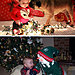 christmas-baby-photoshoot-fails-pinterest-expectations-vs-reality-17-584ff34bdf8ef__605.jpg