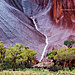 landscape-nature-photography-australia-julie-fletcher-10.jpg