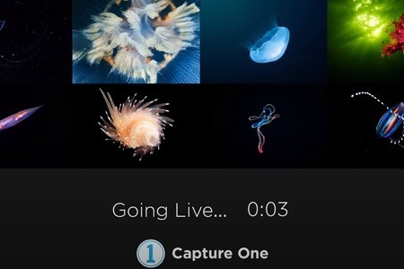 Capture One 20 | Quick Live : Be the first to know!