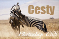 Vytvárame cesty