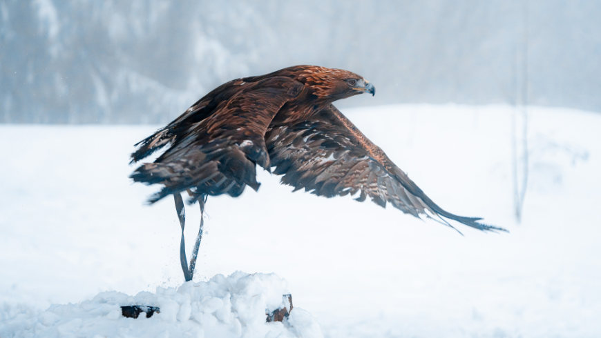 Fotostĺpček 5/2026