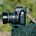 animals-with-camera-helping-photographers-22__880.jpg
