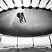 运动-1703554253852803072-The jump_1.jpg