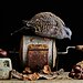 16_Tailai-OBrien-Chestnut-Season_LoRes.jpg