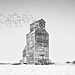 © Marc Koegel, Canada, Shortlist, Professional competition, Architecture & Design, Sony World Photography Awards 2024.jpg