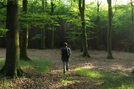 Transform Summer Landscapes: Master Dramatic Minimalist Long Len