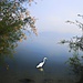孑然一身 © Stylianos Charalampakis 希腊 HUAWEI P20 Pro.jpeg