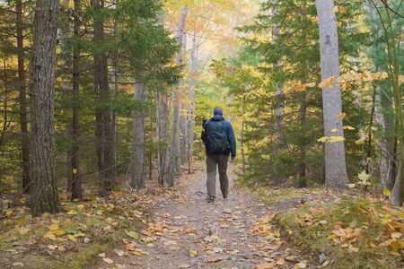 Why Your Polarizer Is Wrecking Your Fall Photos