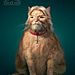 funny-ads-with-animals-17.jpg