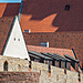 hradby.jpg
