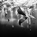 national-geographic-traveler-photo-contest-2015-8.jpg