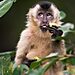 Jo-De-Pauw_Oops-did-I-pick-your-candy_00004383-copy-2048x1365.jpg