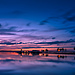 P9970205-Edit.jpg