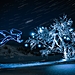 OM-1_Hannu_Huhtamo_Owl and a snowy tree_FULL RES-1.jpg