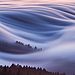 national-geographic-nature-photographer-of-the-year-2018-winner-5-5c0a358947b68__880.jpg