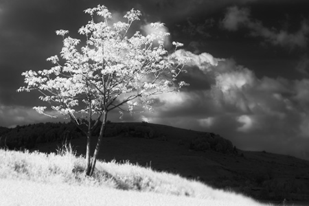 Variabilnejšia infrafotografia