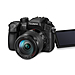 138_FY2013_Lumix_GH4_H_FS14140_slant_LCD_300dpi.jpg