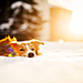 dog-photography-ksuksa-raykova-6.jpg