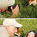 animals-with-camera-helping-photographers-31__880.jpg