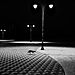 冬夜之歌© Abdulaziz Mohammed Alsgheer 沙特阿拉伯 HUAWEI P30 Pro.jpg