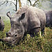 national-geographic-traveler-photo-contest-2015-2.jpg