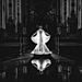 15-Of-The-Most-Stunning-Wedding-Photos-Youll-Ever-See-5880c42050715__880.jpg