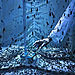© Maurizio Di Pietro, Italy, Finalist, Professional competition, Environment, Sony World Photography Awards 2024.jpg