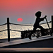 运动-1667194366059401216-Young Roller_1.jpg
