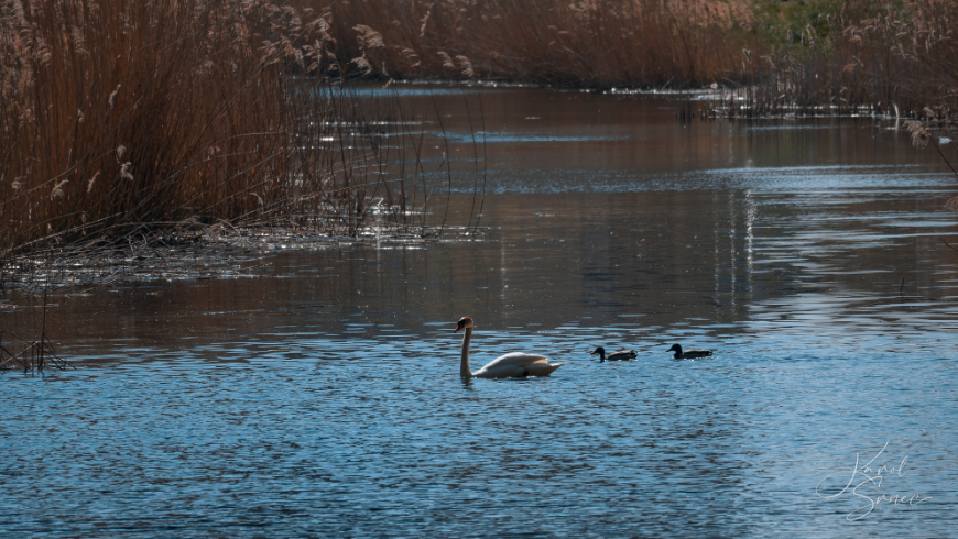 Fotostĺpček 14/2026