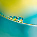 I-take-Abstract-Macro-pictures-using-Oil-and-Water-57e510c82fd06__880.jpg