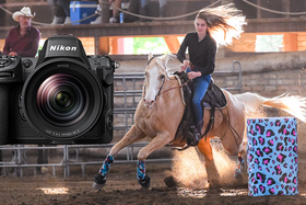 Erdžanie koní a bučanie kráv: Nikon Z 8 v akcii