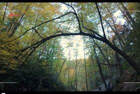 The Secret to Photographing Waterfalls in Peak Fall Color
