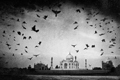 Taj Mahal - od legendy k pravde