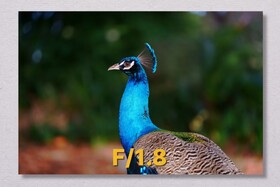 I was using Aperture WRONG until I learned this