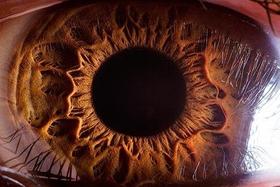 Close up ľudského oka