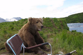 Fotografovanie medveďov pri McNeil River na Aljaške