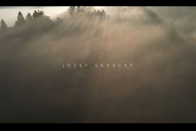 Kuvičok vrabči - Tichý lovec lesa