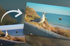 Ako v Zoner Studiu vytvoriť atmosféru analógových fotiek