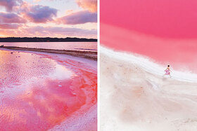 Kúzlo ružovej lagúny